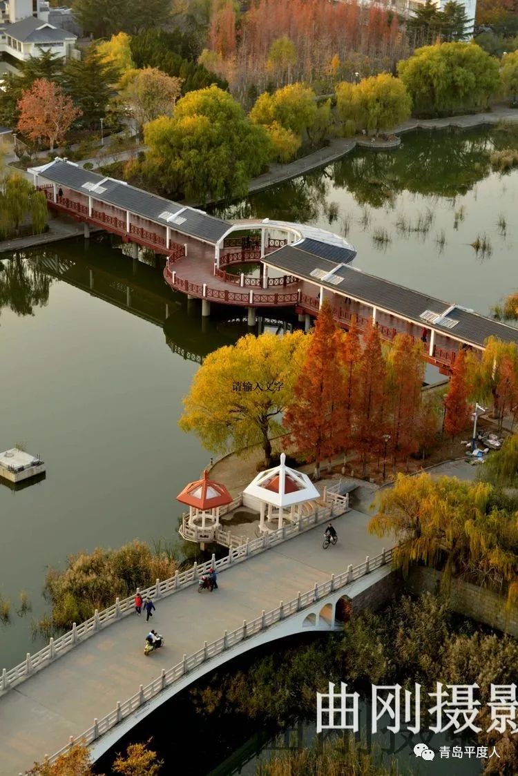 平度被拍下,美翻了!