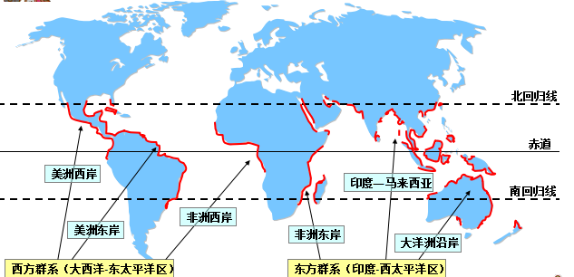 红树林分布图片