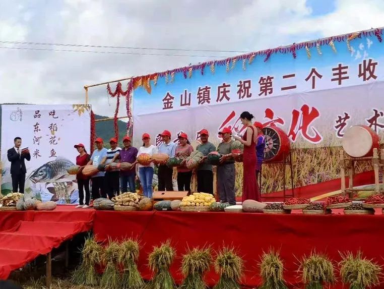 景美农忙人欢笑稻香鱼肥迎丰收禄丰县金山镇举办第二个丰收节暨首届稻