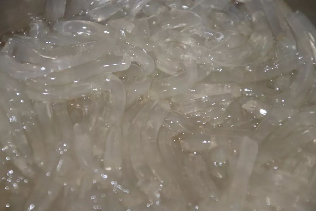 酷热解暑来一碗饶平海石花可好