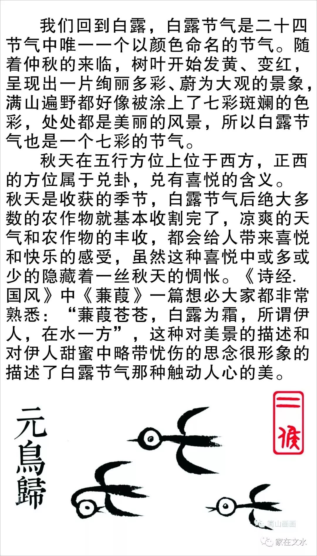 【简山画画】二十四节气之白露说喜悦