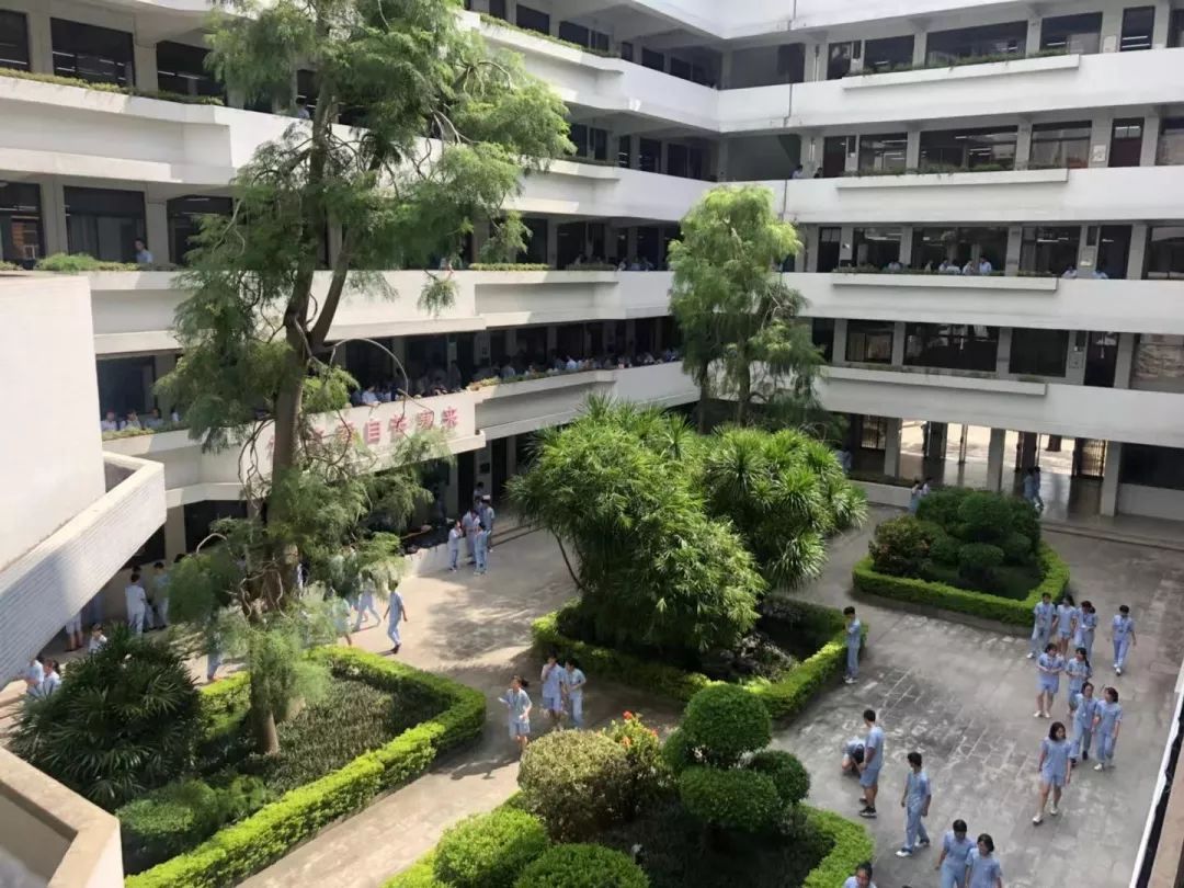 蔡渲梓是广东汕头华侨中学的高二级学生,这次她选择了"历史,政治,生物