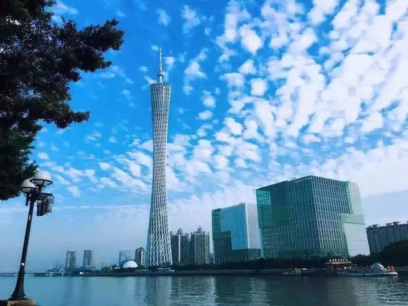 广州市2019年质量月启动仪式 在启动仪式现场 广州国际媒体港11楼