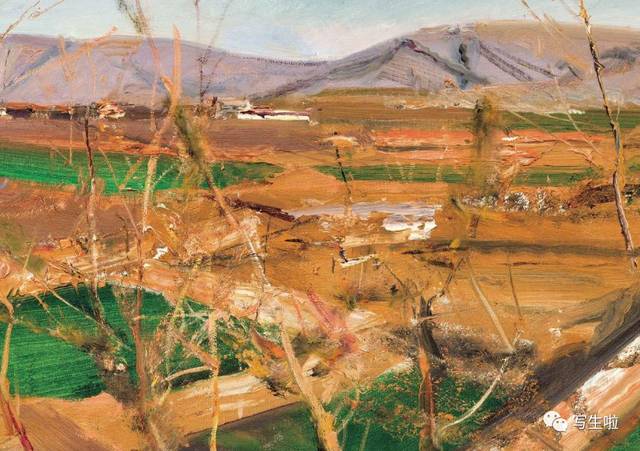 写生啦在写生中焕发出灿烂明晰的节奏丨杨参军风景作品集附新作