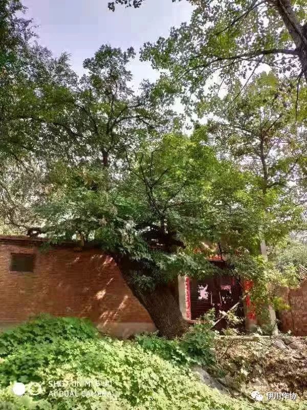 三,王氏宗祠下天院村 王姓占90%之多.