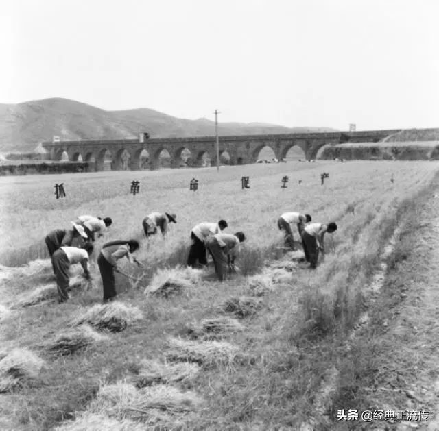 1972年气势磅礴的大寨田 1969年农业学大寨精神学习忆苦思甜大会批斗