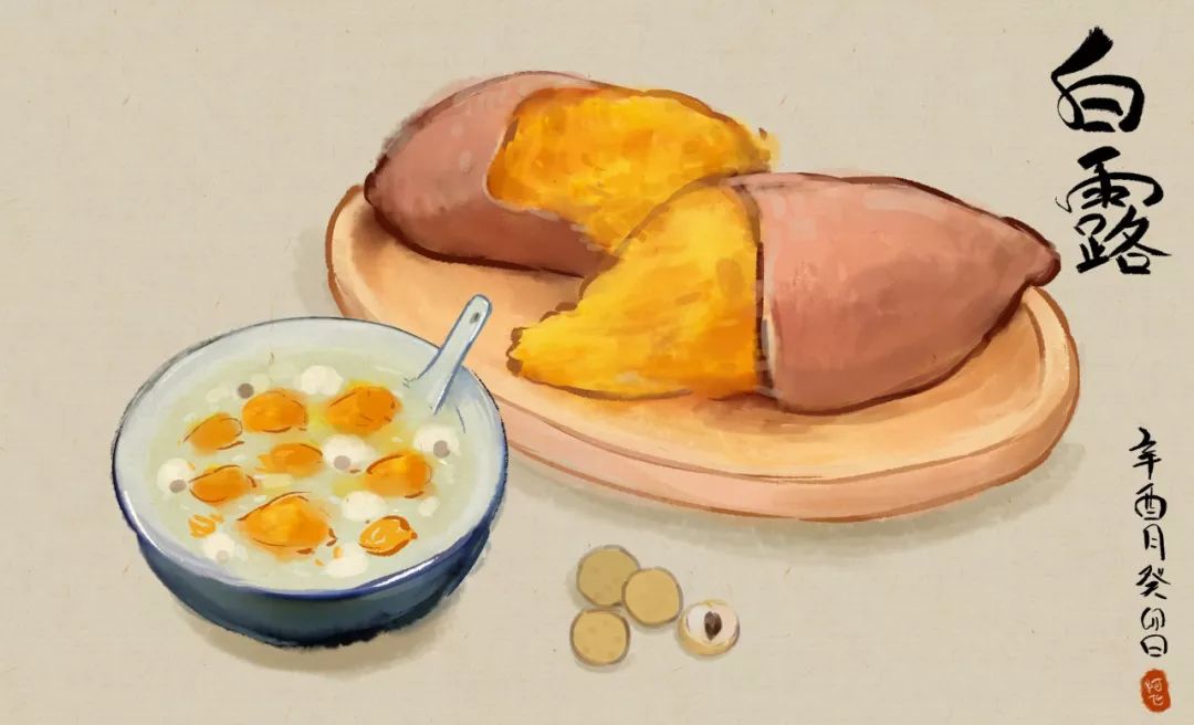 薯民间认为白露吃番薯,可使全年吃番薯丝和番薯丝饭后,不会发胃酸