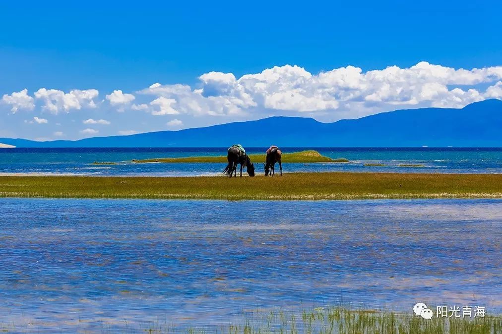 【美景】错峰旅行,秋天的青海更是一步一景_西宁