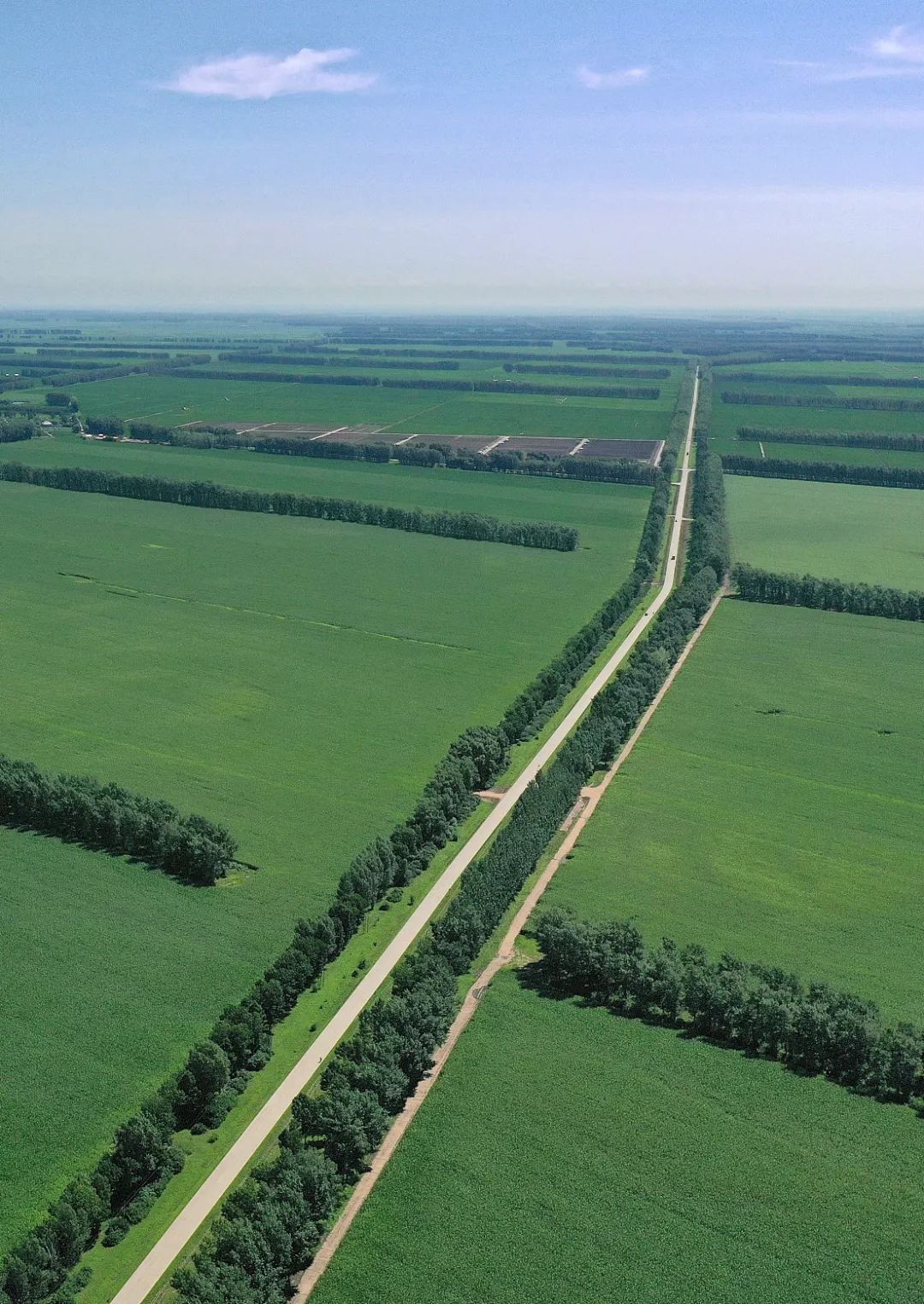 黄河下游平原以及海河,淮河两岸积温大于4000℃因而普遍种植喜温耐旱