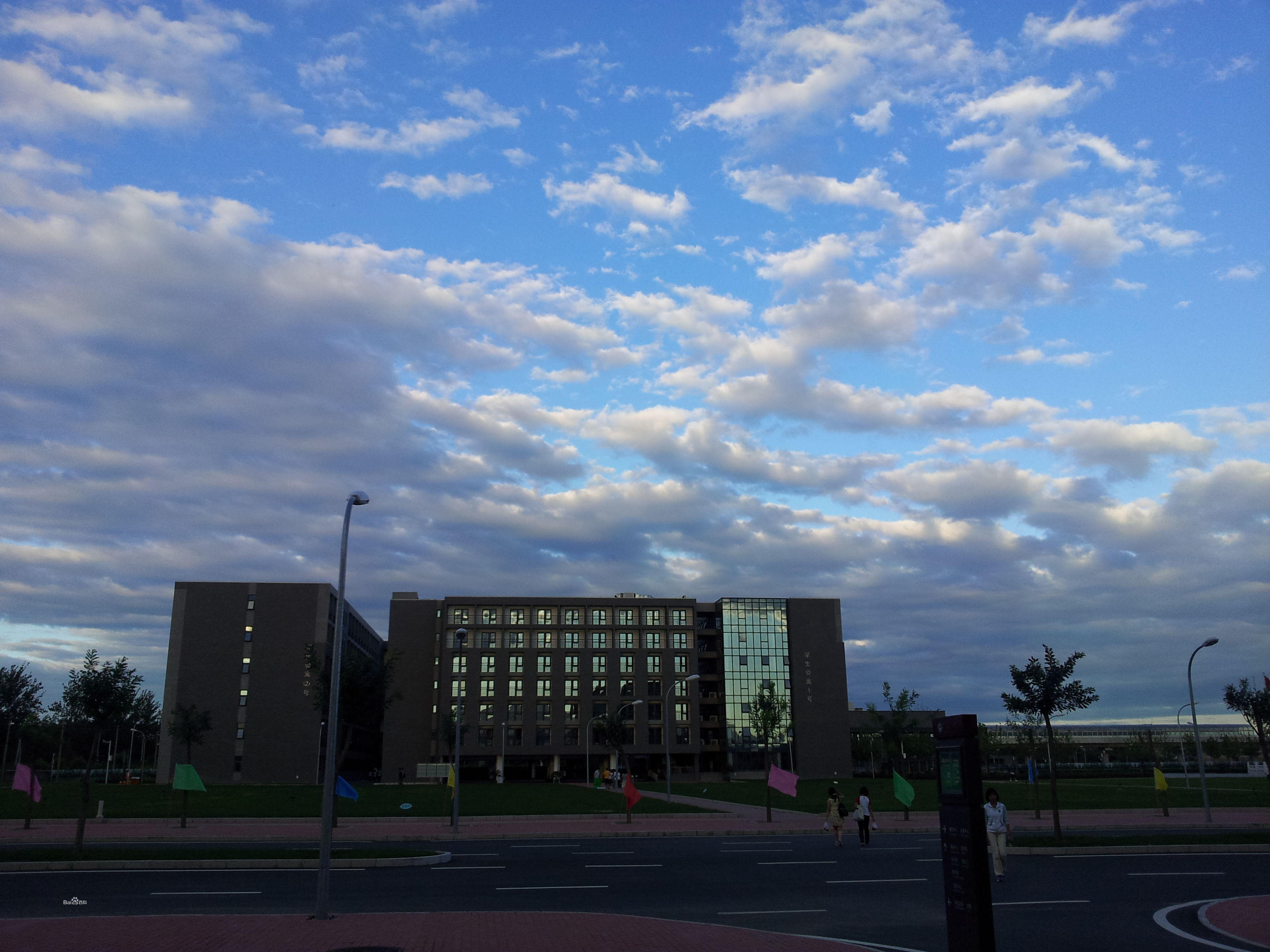 2020外学国际关系考研经验考研真题考研参考书复试分数线招生目录