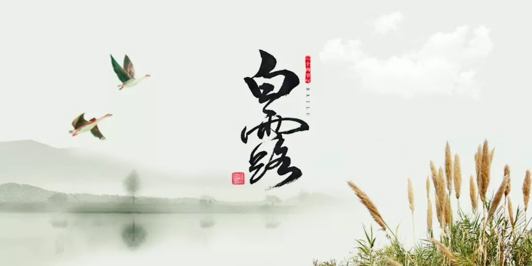 「白露诗词9月8日」秋天,是一个思念的季节.秋风萧瑟,天气寒凉.