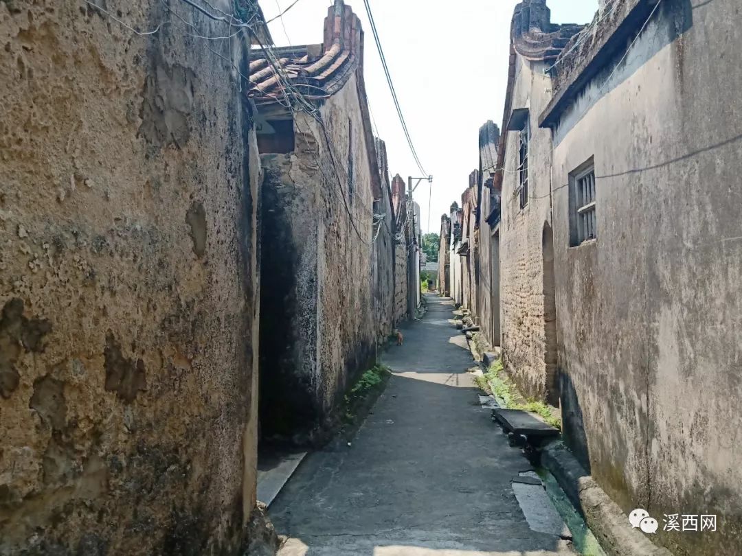 溪西美丽乡村后山村你变了