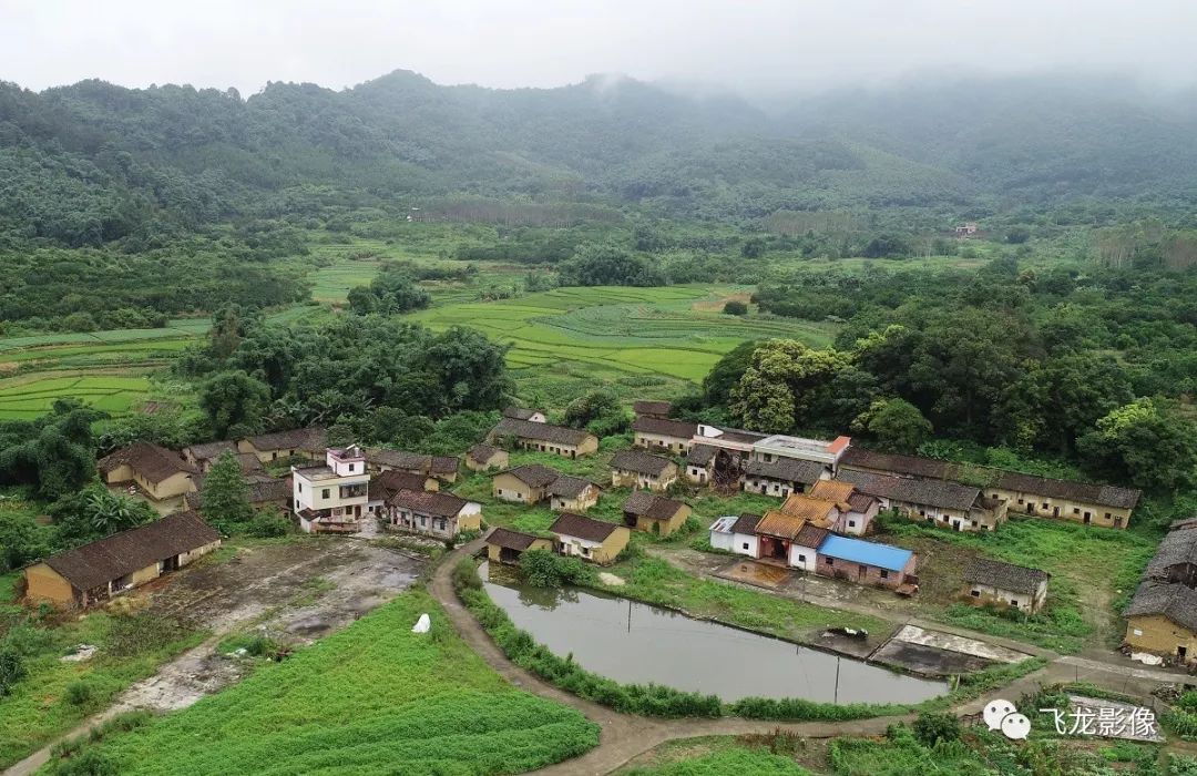 "柚龙皇二号,至今已有200多年历史,曾荣获农业部"优质水果"坪,它