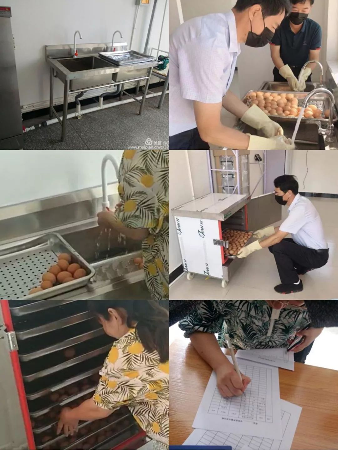 青县金牛镇全面实施蛋奶工程
