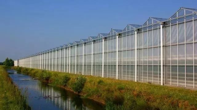 荷兰型连栋玻璃温室大棚难道真在国内行不通