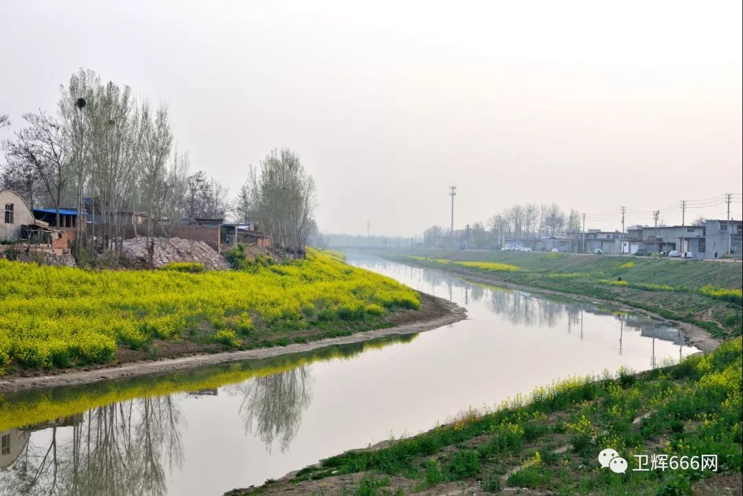 喜大普奔卫辉境内预建第二个湿地公园