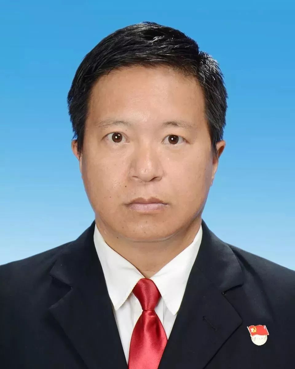 历任墨江县双龙乡党委副书记,纪委书记,联珠镇党委副书记,纪委书记