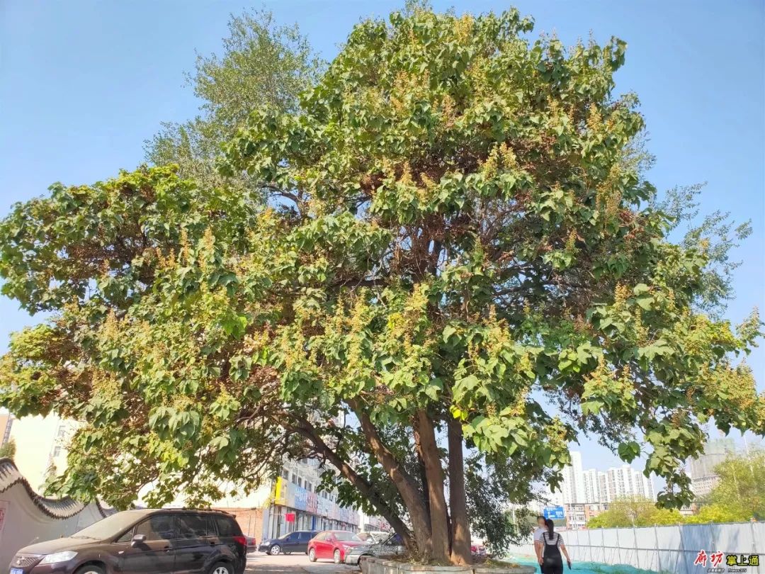 带你走一条"新"路!