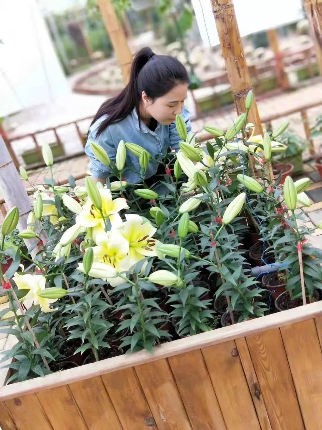 勇敢爱新余这个美女有房有车希望找个对她好点的男生