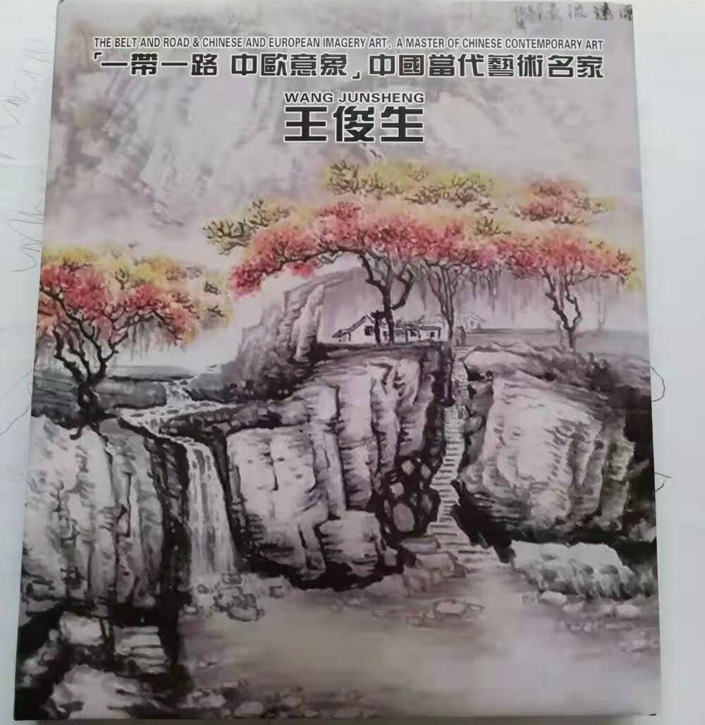 聚焦山水为生王俊生