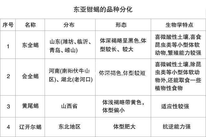 我国野生蝎子分布情况和大家说一下