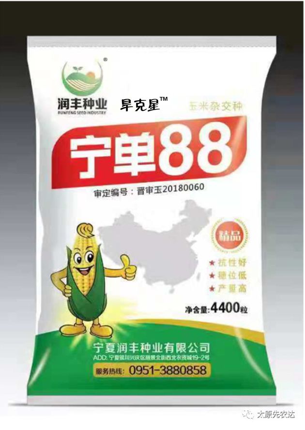 宁单88"科普玉米安全高产技术介绍有特点的玉米品种推荐最放心的玉米
