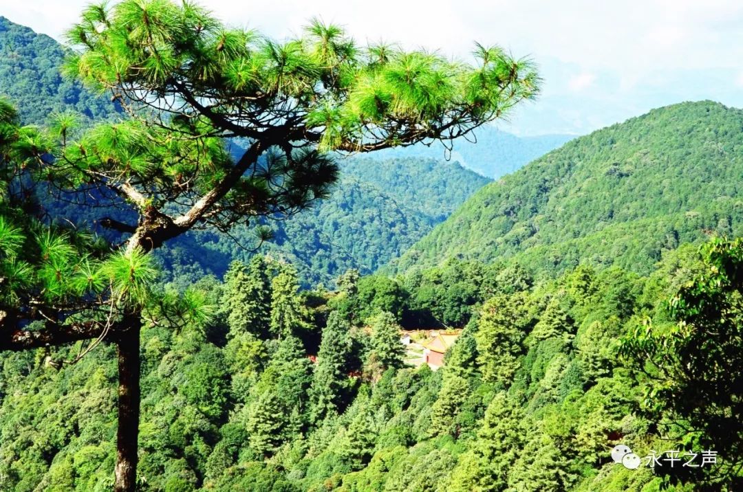 永平宝台山森林公园图片