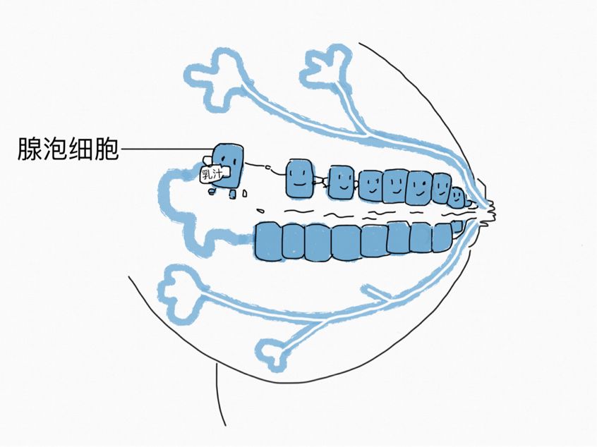 开奶发奶通奶一站式搞定