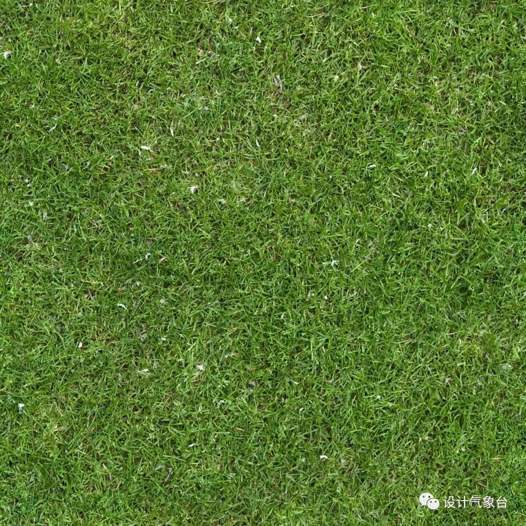 设计院你又不是小孩子要什么梦幻彩平图真实点高级点好么