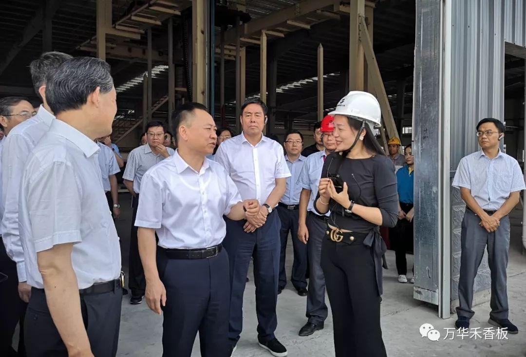 安徽省长李国英两周内2次莅临安徽万华产业园,指示应重点支持禾香板做