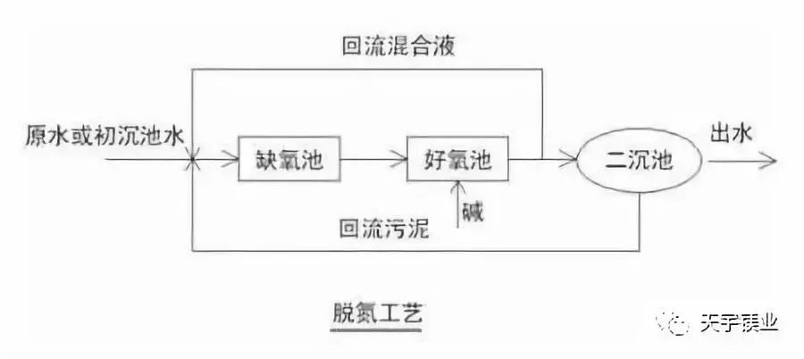 污水处理基础知识_mg