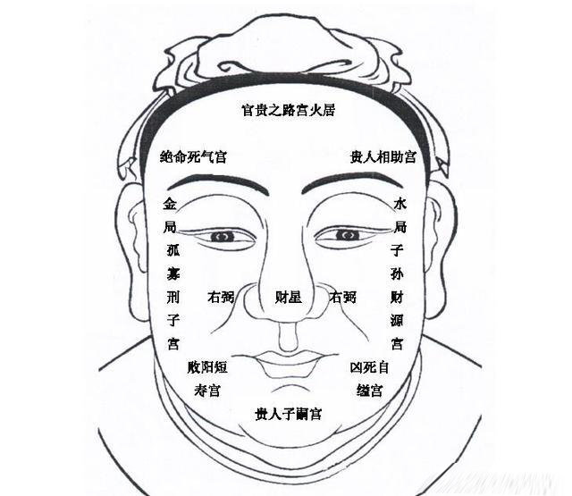 手掌天地人三纹,天纹为父地纹母;天纹断损父先逝,地纹断损母故去.