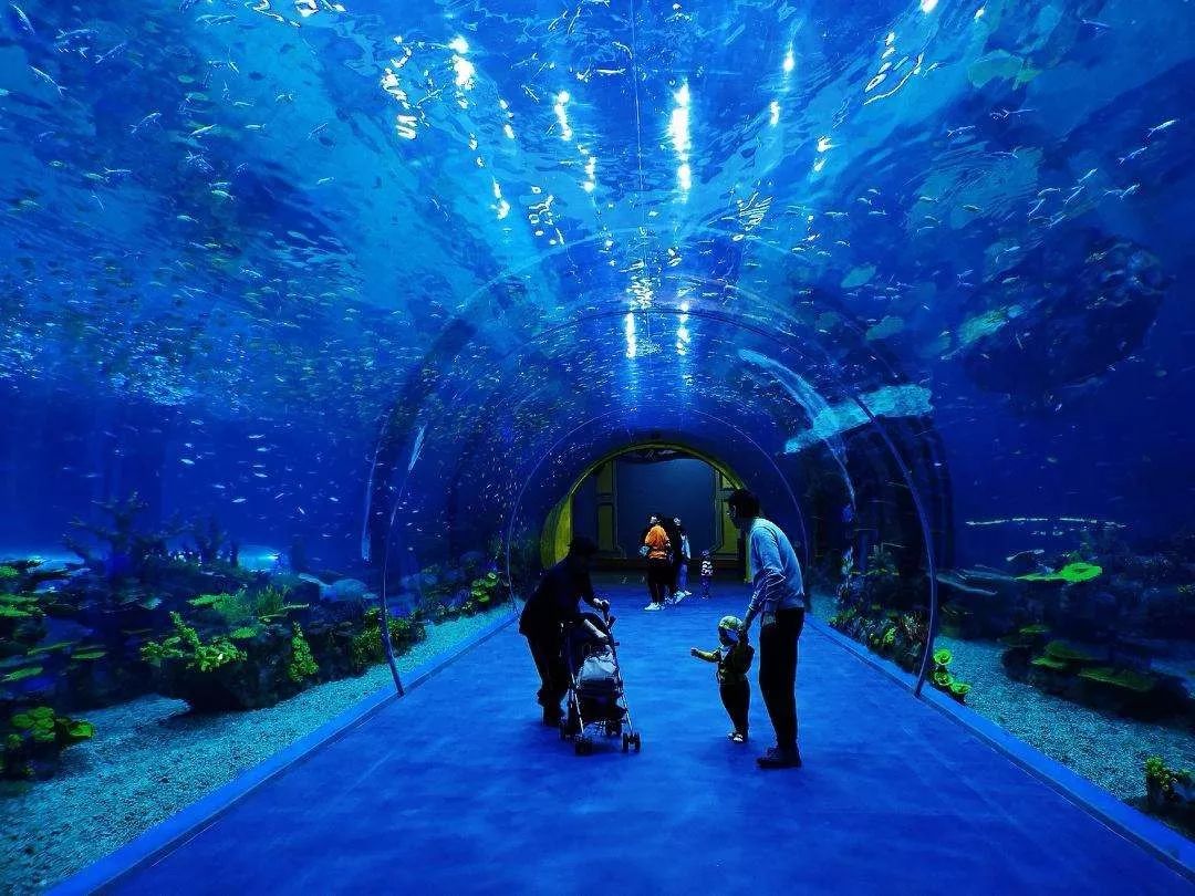 分为人鱼海湾,极地小镇,冰雪王国,海底奇域,海洋部落五大主题区和富