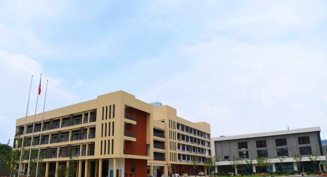 合肥市望湖小学教育集团葛大店小学南校区于2019年9月正式投入使用.