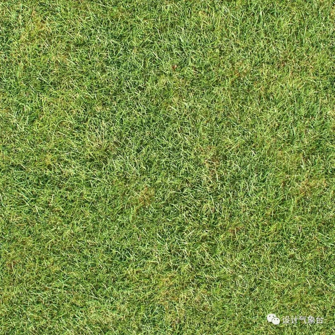 设计院你又不是小孩子要什么梦幻彩平图真实点高级点好么