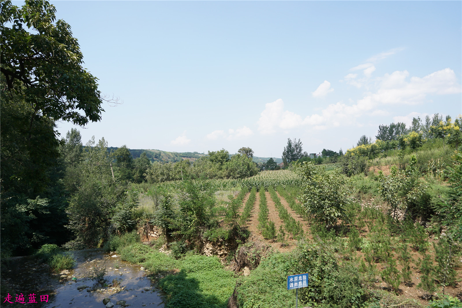 走遍藍田2019焦岱鎮東光村穿越旅行3