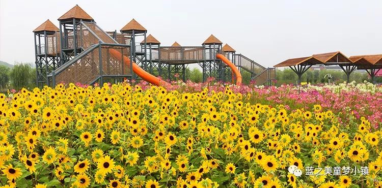 蓝之美童梦小镇开园迎宾夷陵再添休闲游玩好去处