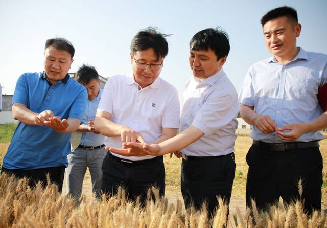 原創河南省商丘市睢陽區繪就鄉村五大振興實現農民八個夢想