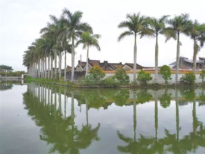 火了澄海这几个乡里被评为汕头市十佳美丽乡村快来看看有没有你的家乡