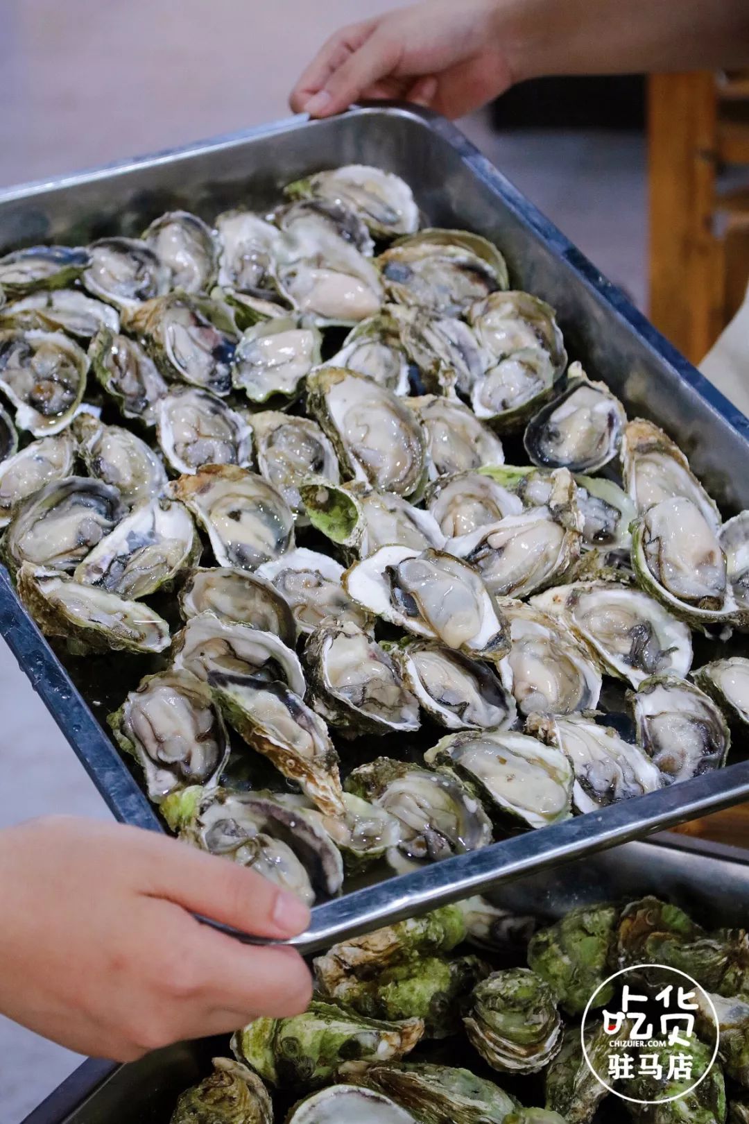 098元①只无限畅吃网红乳山小生蚝吃完这家生蚝治好了大嘴多年的密集