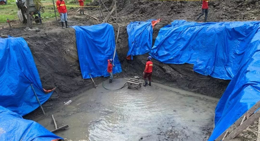 最美项目部|我们的热带雨林初体验_应磊