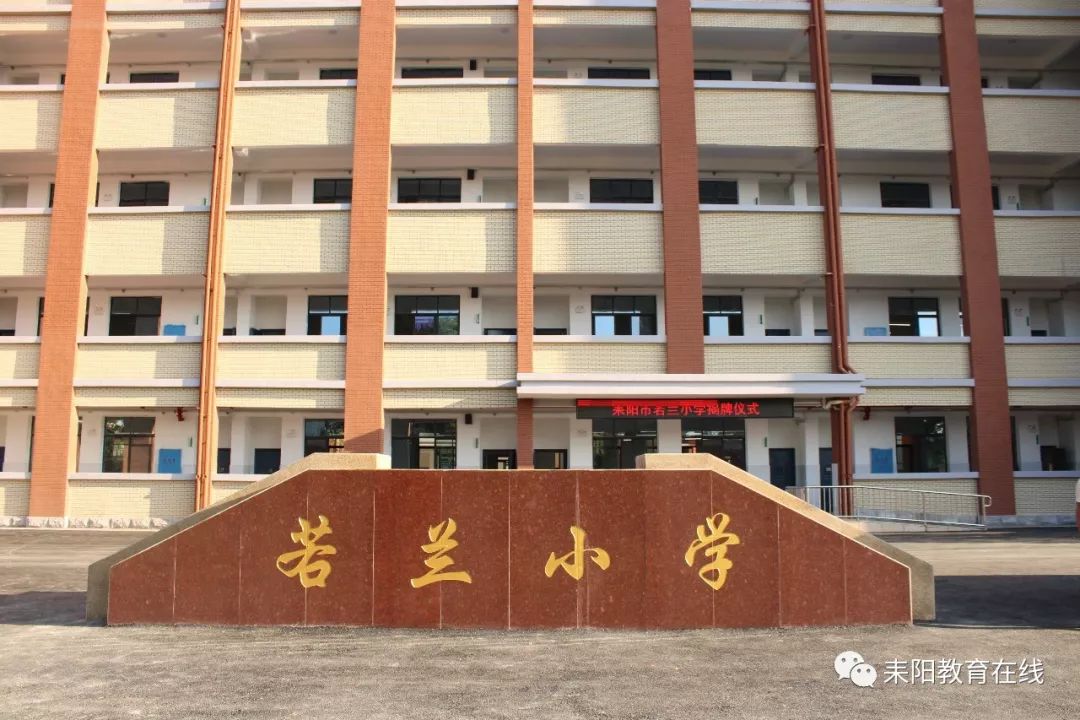 耒阳若兰小学图片