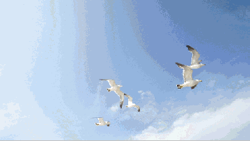 海上风微刊夜听名人名篇海鸥题一只烟灰缸作者赵丽宏诵读和沁艺术总监