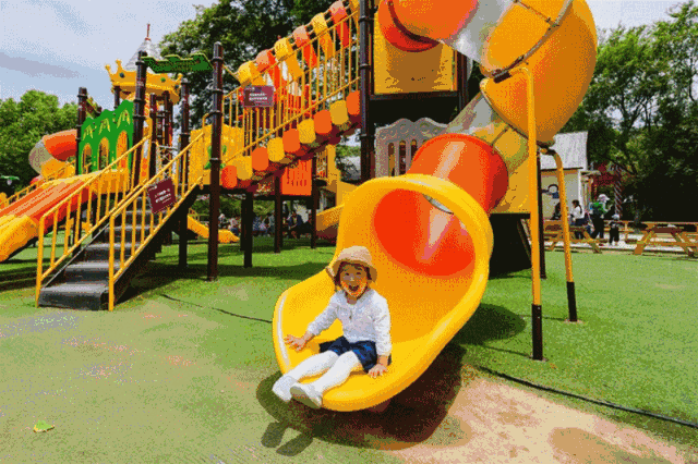 重磅吉安柚乡园柚子丰收节将于9月13日开幕现场好吃好玩等你来