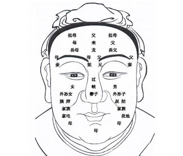 面相纹路图片