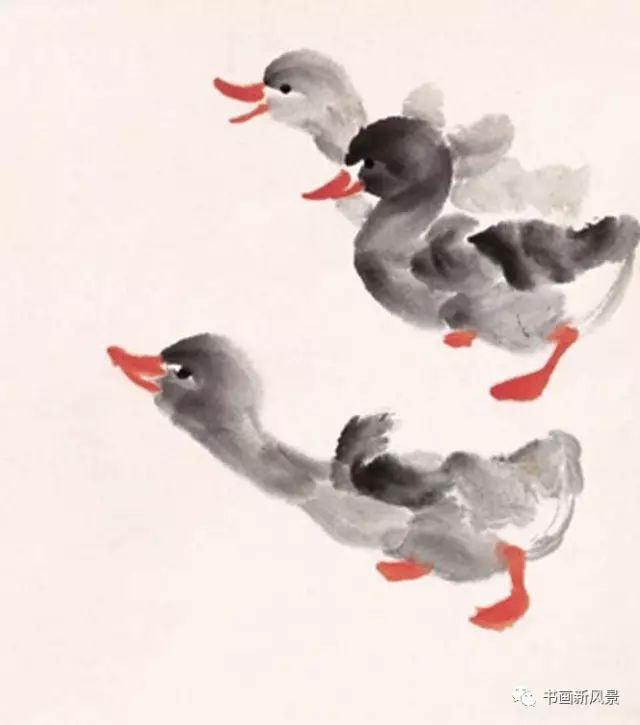 把娄师白画的小鸭放大看看越看越可爱