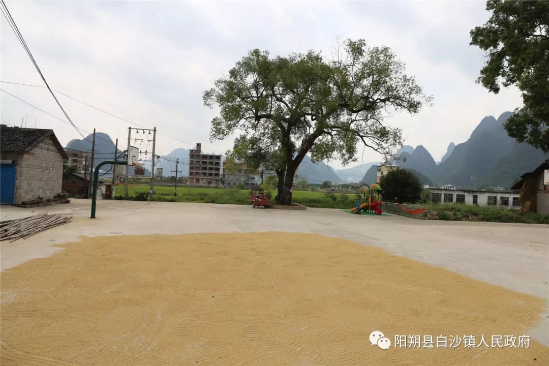 不忘初心先学先改白沙镇互学互促找差距加快五建工作进度