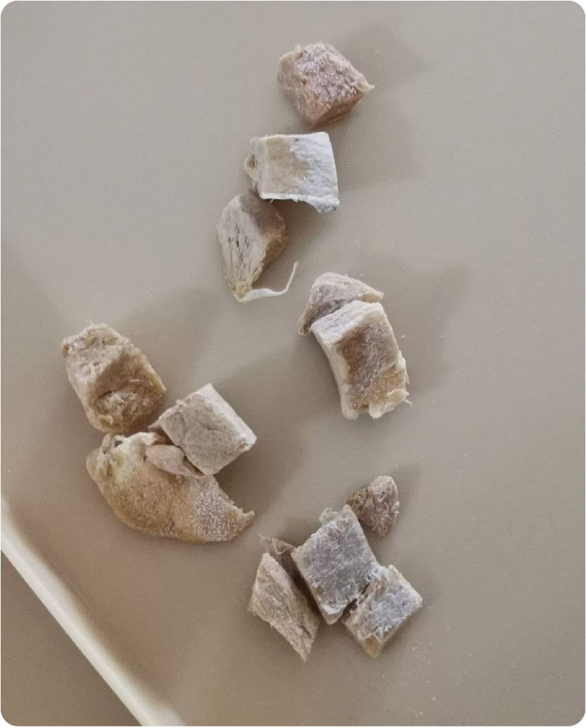 亚宠展被投喂zeze冻干而死的可卡犬事件始末