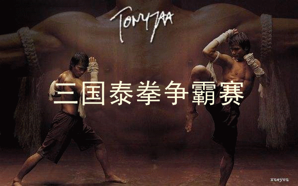 萌萌的动物,燃燃的泰拳(这个反萌差小编都觉得相当惊喜鸭)三国泰拳