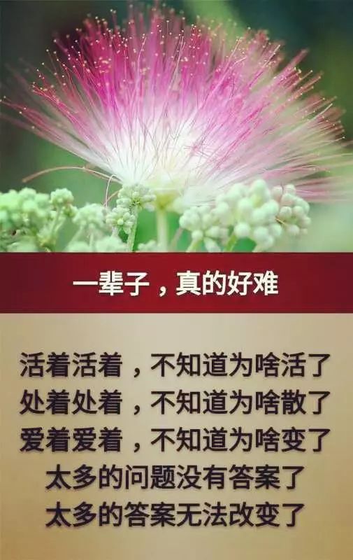 人一辈子,真的好难,很多事情都已无法改变(美文)